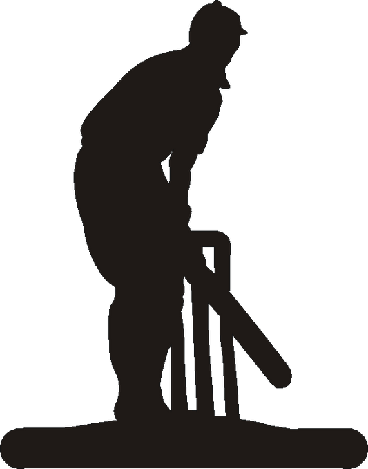 Cricket Hand Stand