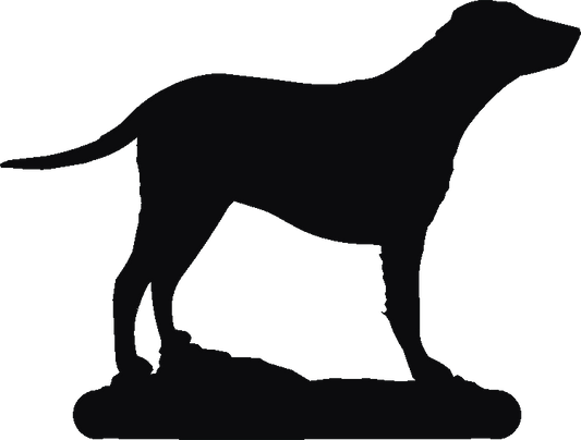 Curly Coat Phone Stand