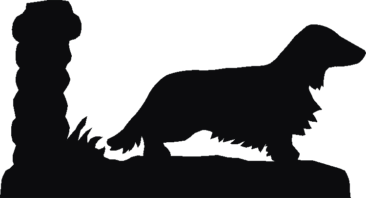 Dachshund Long Coat Picture Plates