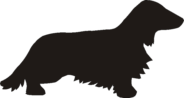 Dachshund Long Coat Motif Baskets