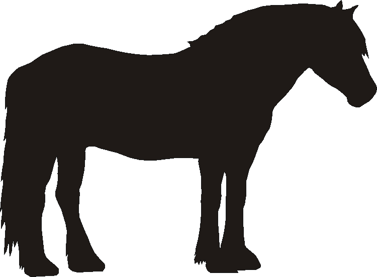 Dales Pony Yorkshire Sign