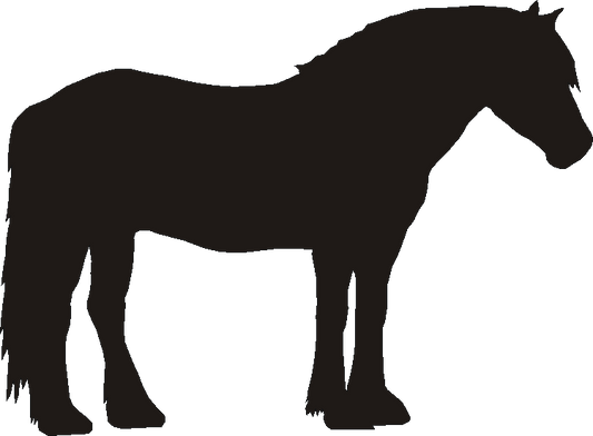 Dales Pony Curtain Hook Backs