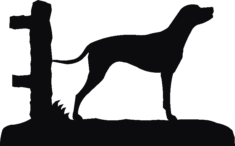 Dalmatian Rosette Runner