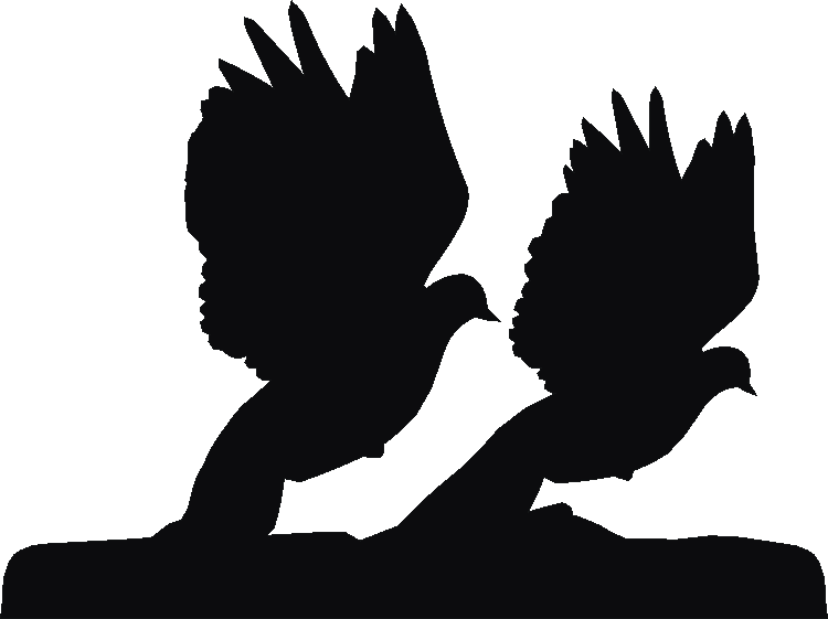 Doves Doorstops