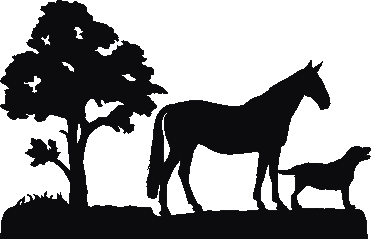Dreams Silhouettes