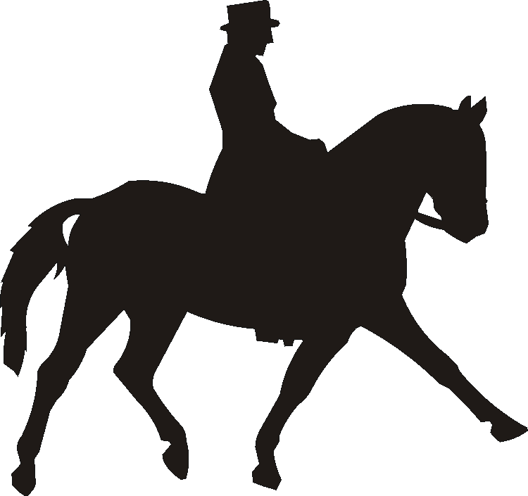 Dressage Etched Tumblers