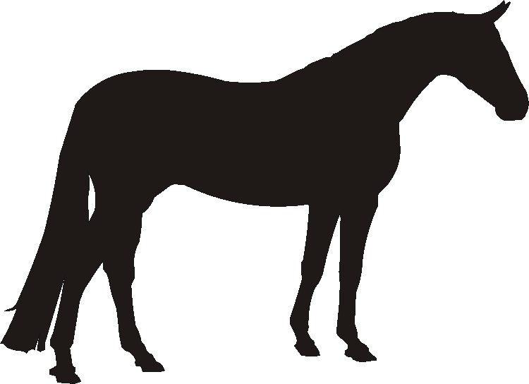 Elite Stable Door Name Plates