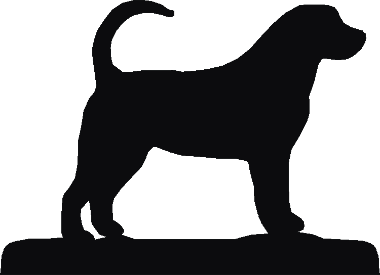 Entlebucher Rosette Runner