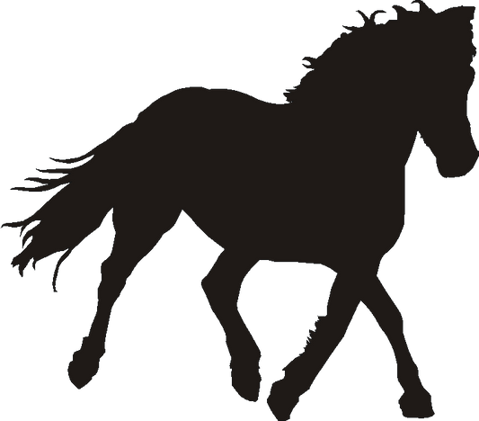 Eriskay Pony Silhouettes