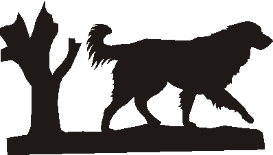 Estrela Hanging Signs