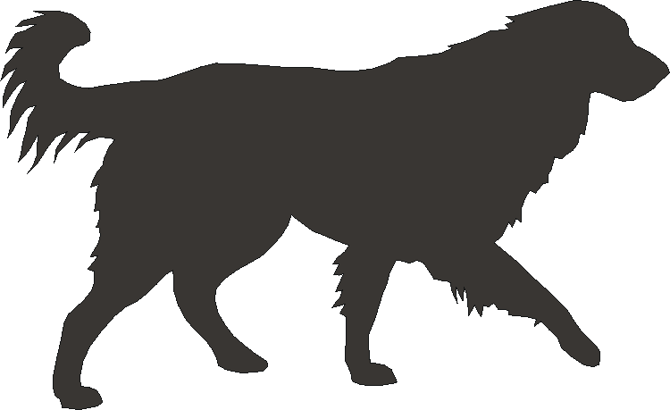 Estrela Silhouettes