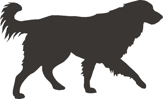 Estrela Silhouettes