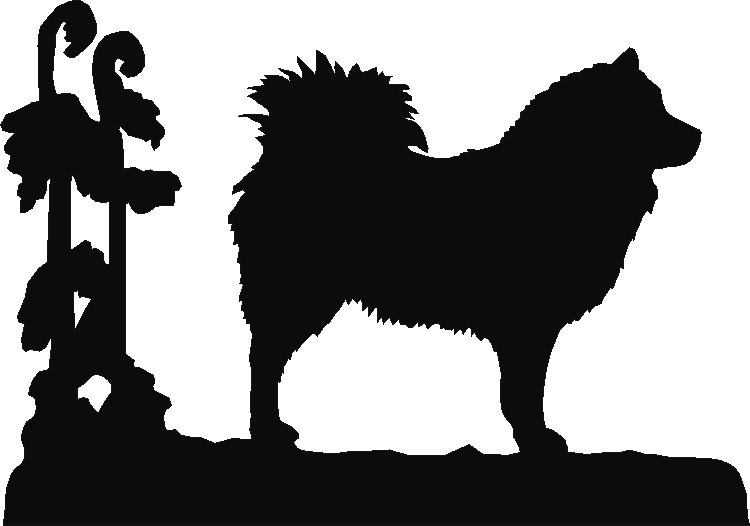 Eurasier Rosette Runner