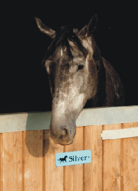 Samoyed Stable Door Name Plates