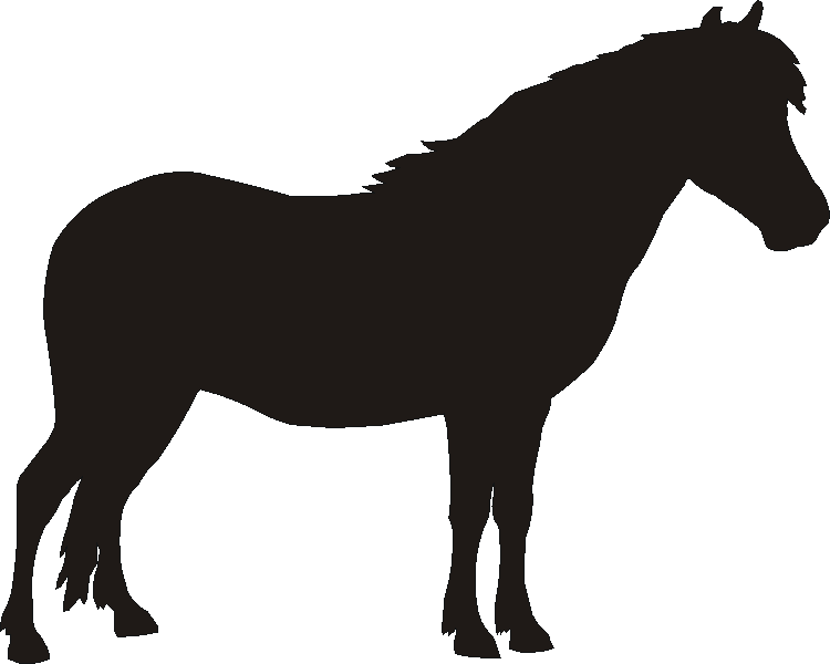 Exmoor Pony Motif Baskets