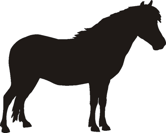 Exmoor Pony Silhouettes