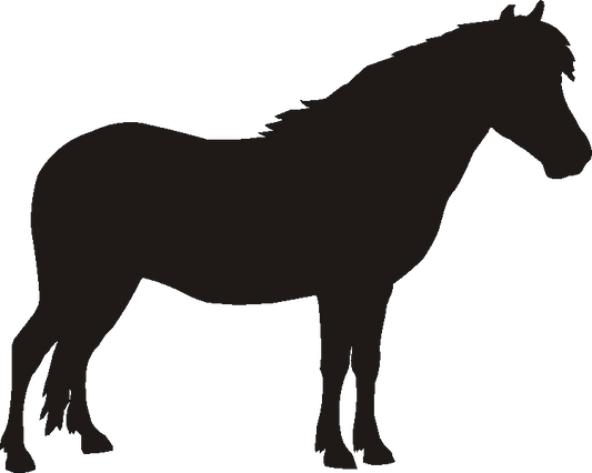 Exmoor Pony Etched Tumblers