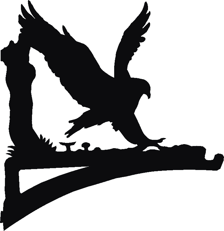 Falcon Hanging Brackets