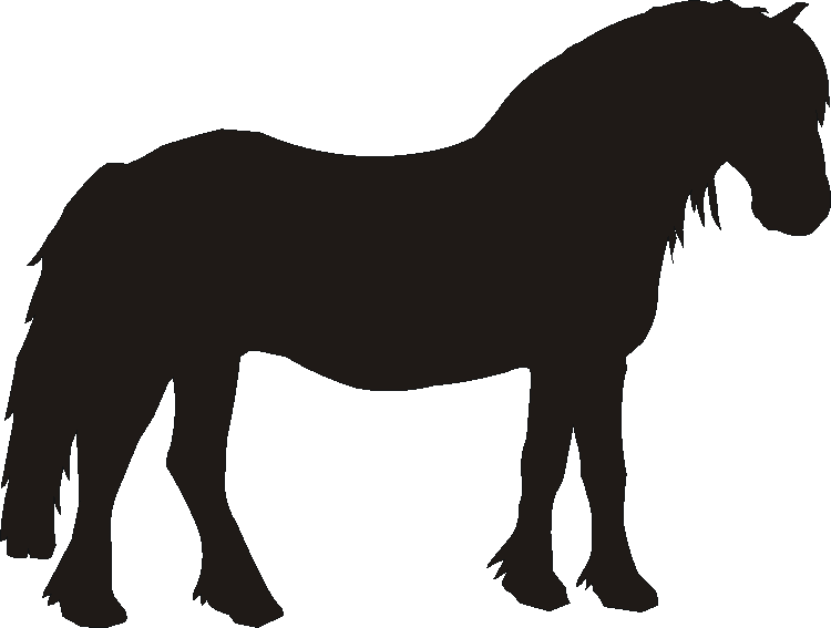 Fell Pony Yorkshire Sign