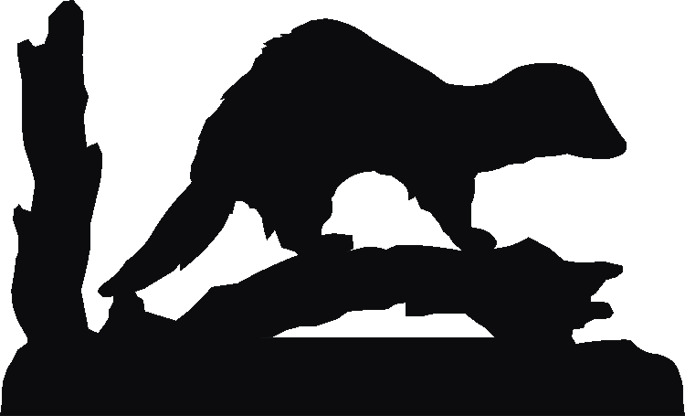 Ferret Rosette Runner