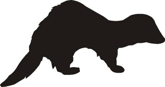 Ferret Silhouettes
