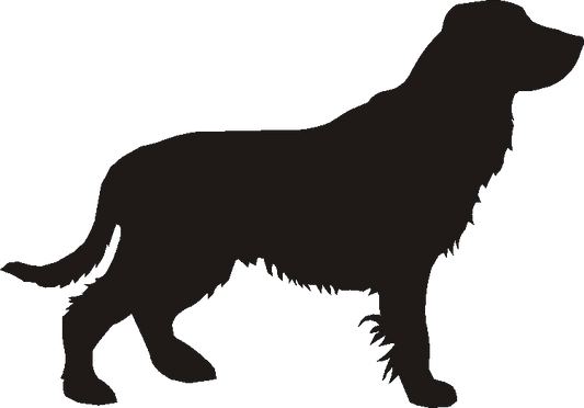 Field Spaniel Loo Roll Holder