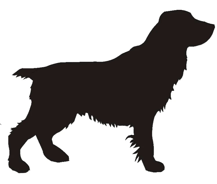 Field Spaniel Docked Silhouettes