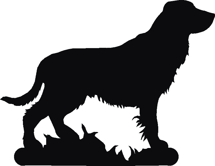 Field Spaniel Book Ends