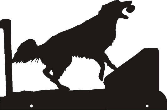 Flyball Hanging Signs