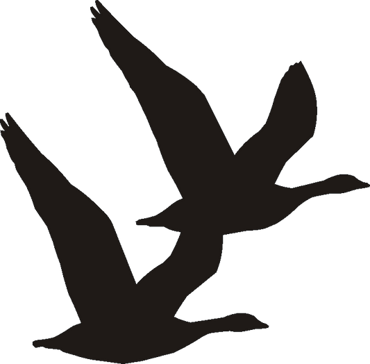 Flying Geese Silhouettes