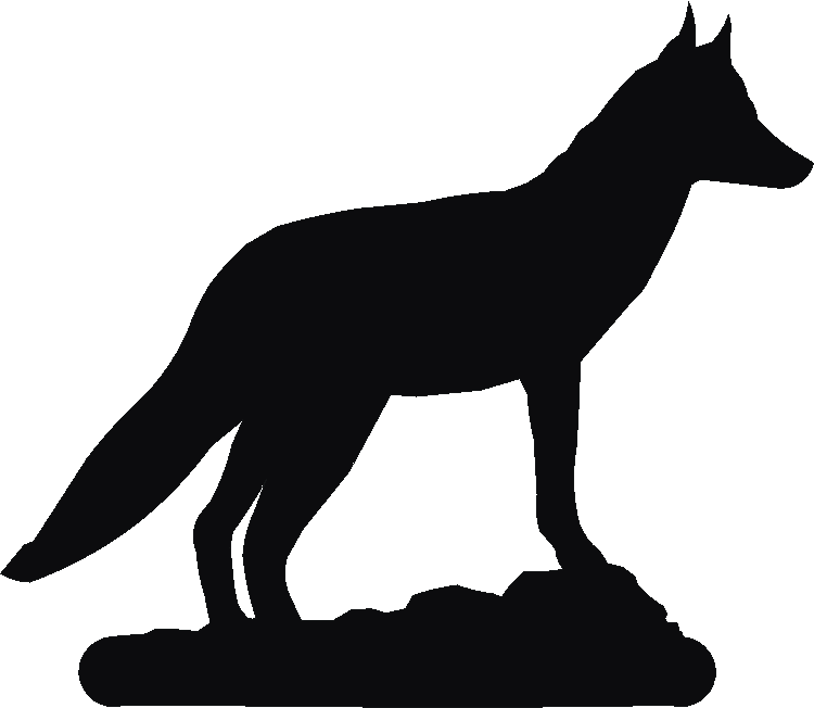 Fox Post Top