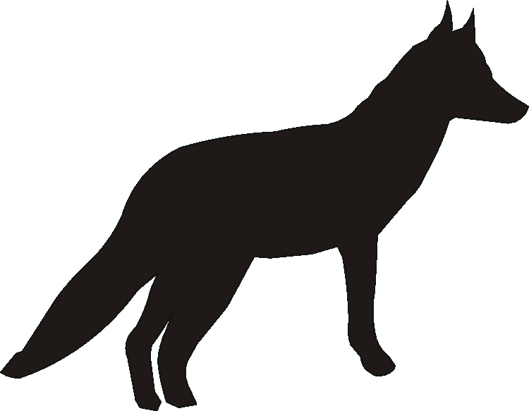Fox Boot Pull