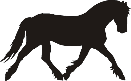 Frazer Silhouettes