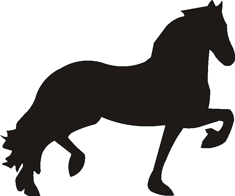 Friesian Horse Boot Pull