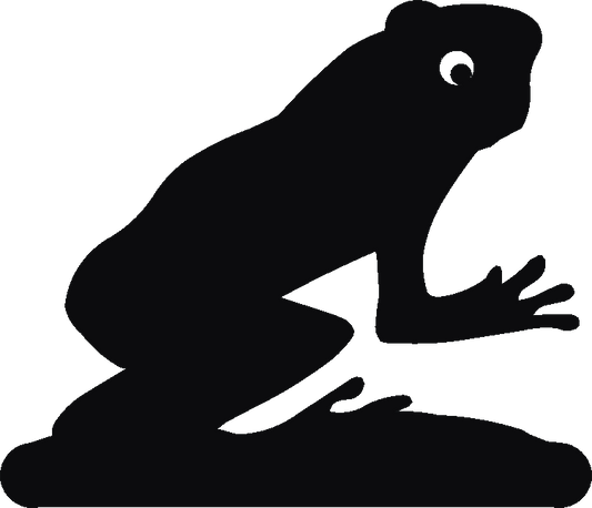 Frog Hand Stand