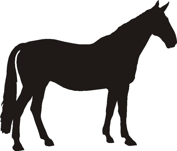 George Silhouettes