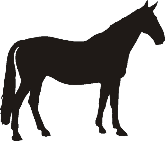 George Silhouettes