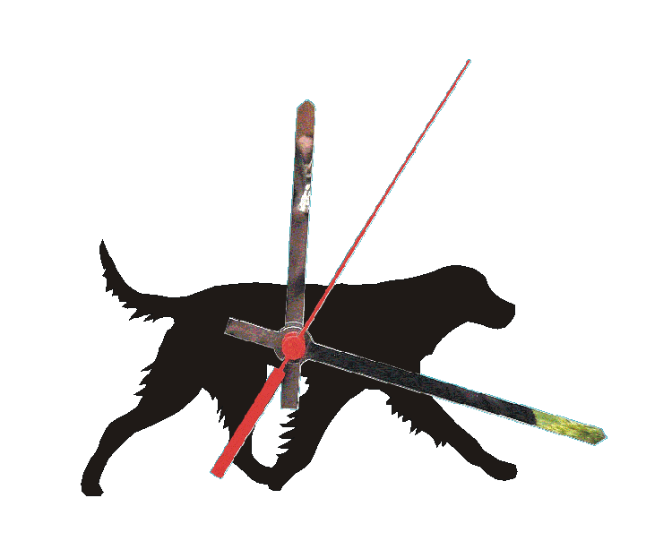 German Longcoated Pointer Clocks