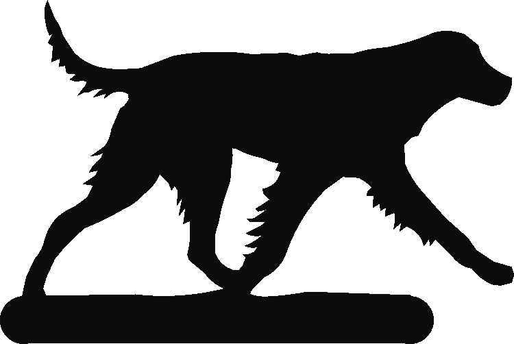 German Longcoated Pointer Book Ends