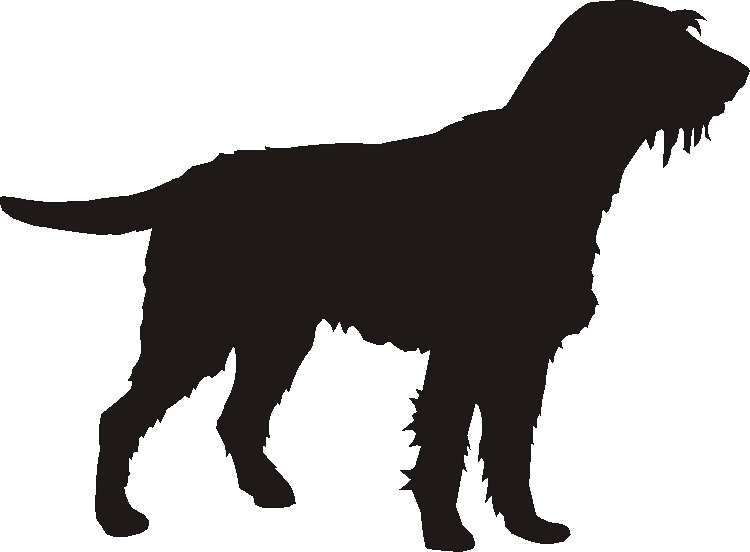 German Wire Pointer Motif Baskets