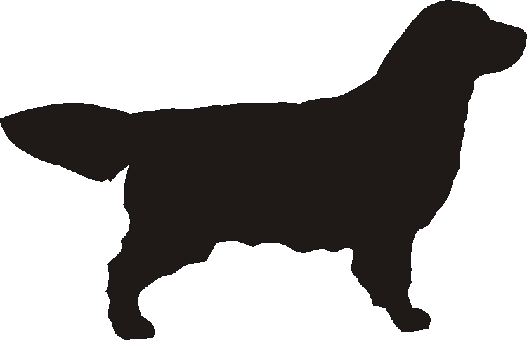 Golden Retriever Silhouettes