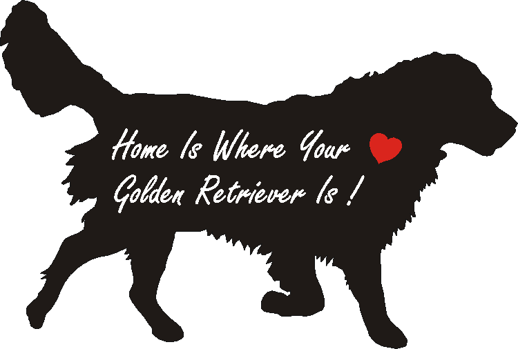 Golden Working Home Is...