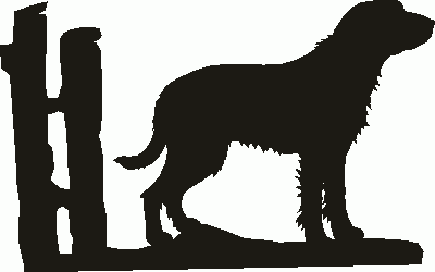 Griffon Fauve Hanging Signs