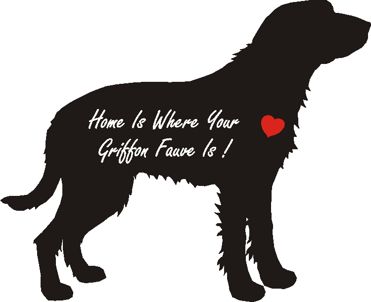 Griffon Fauve Home Is...
