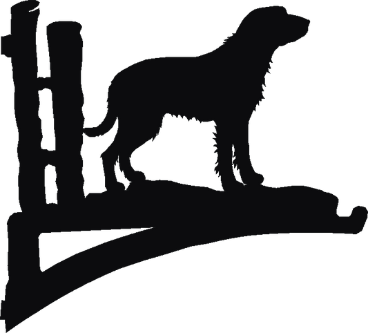 Griffon Fauve Hanging Brackets