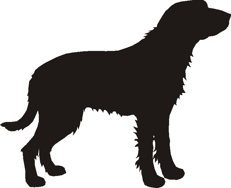 Griffon Fauve Silhouettes
