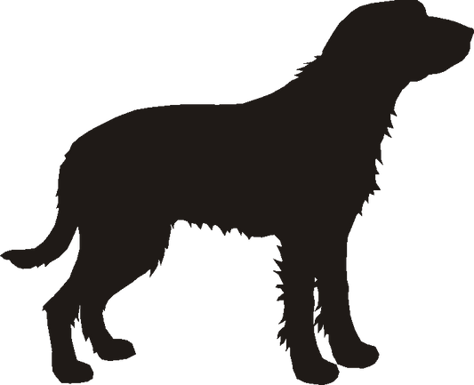 Griffon Fauve Silhouettes