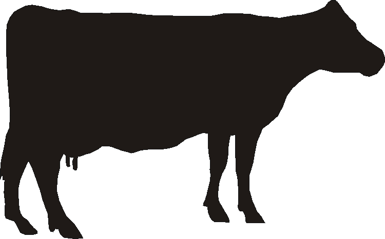 Guernsey Silhouettes