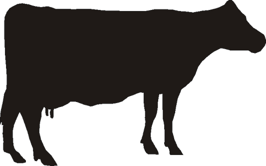 Guernsey Silhouettes