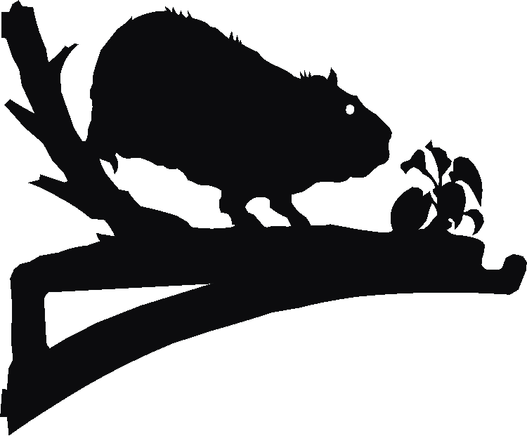 Guinea Pig Hanging Brackets